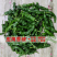 皱皮椒小皱皮一手货源，高山蔬菜量大从优