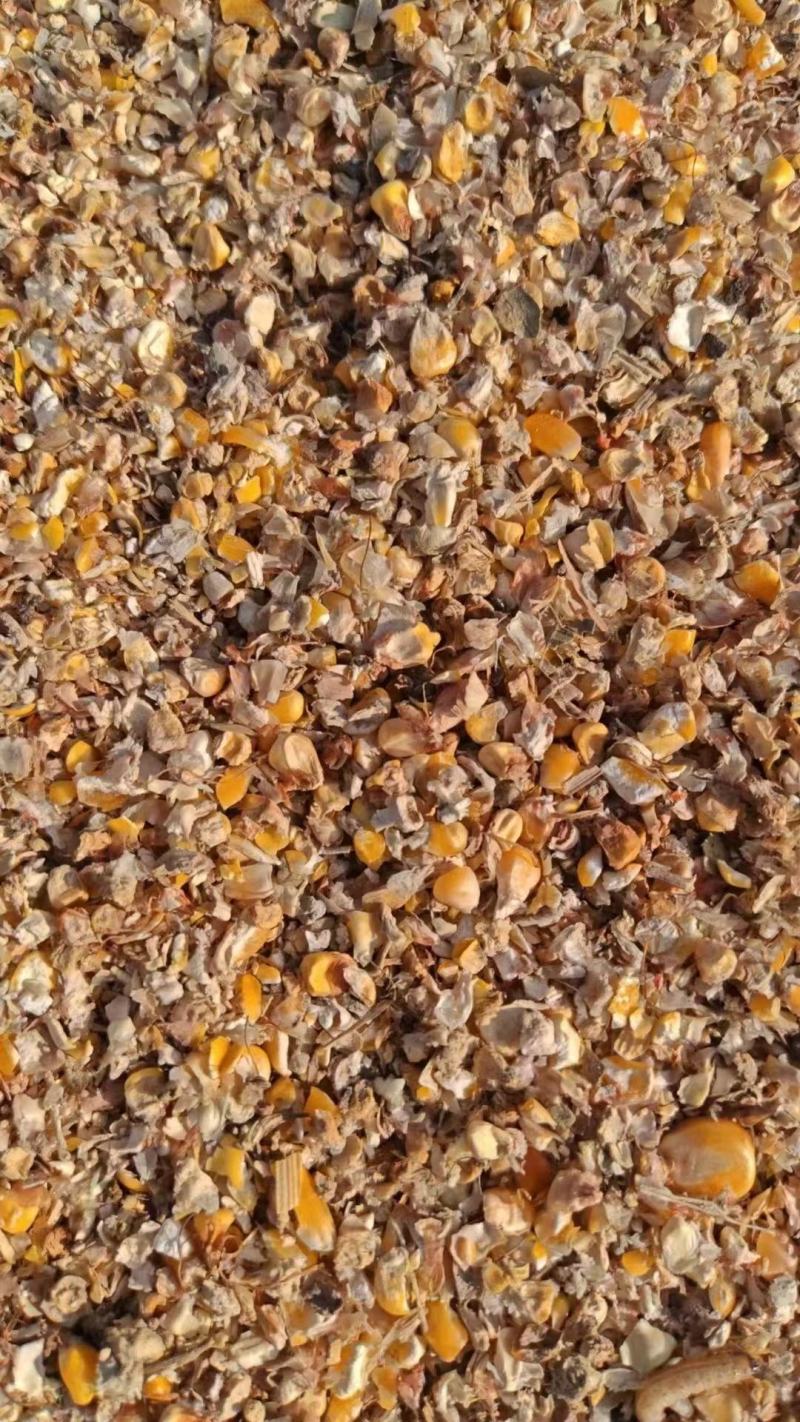 毛粮碎玉米净粮各种规格鸡鸭鹅牛羊养殖常年供应