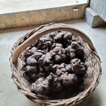 【推荐】精品猪苓，产地直销，价格美丽，欢迎下单