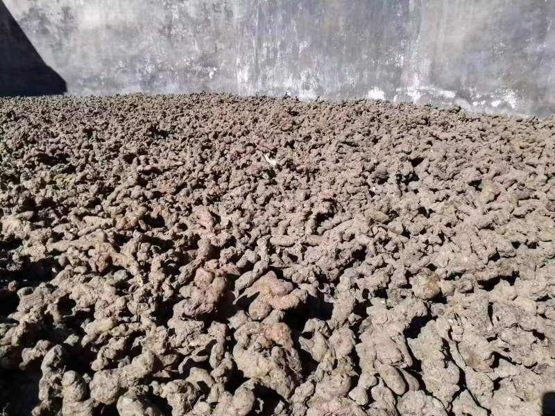 【推荐】精品猪苓，产地直销，价格美丽，欢迎下单