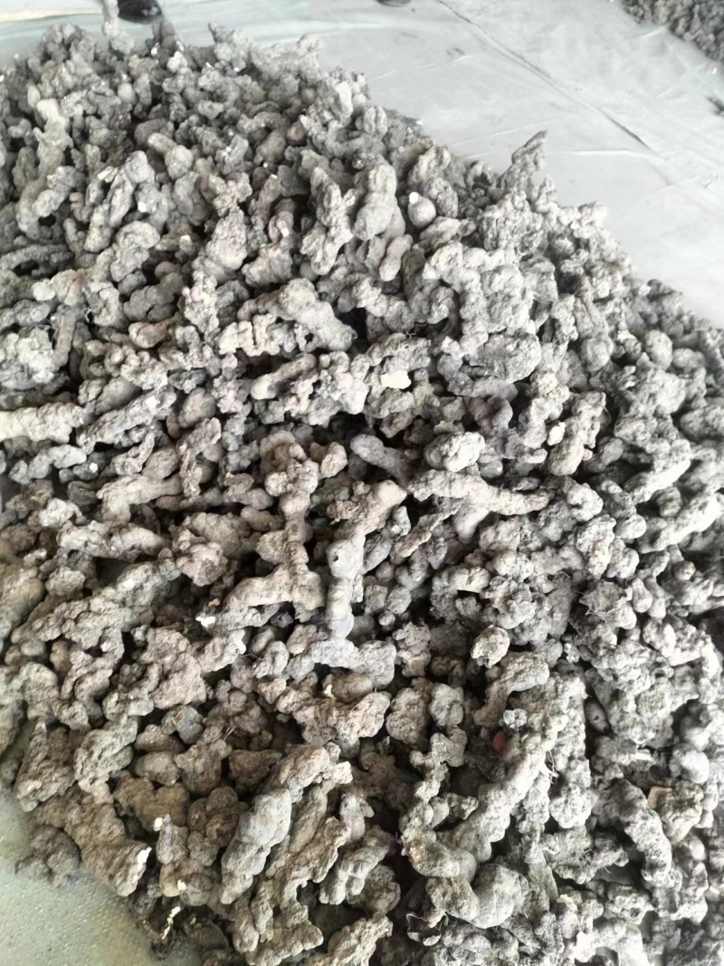 【推荐】精品猪苓，产地直销，价格美丽，欢迎下单