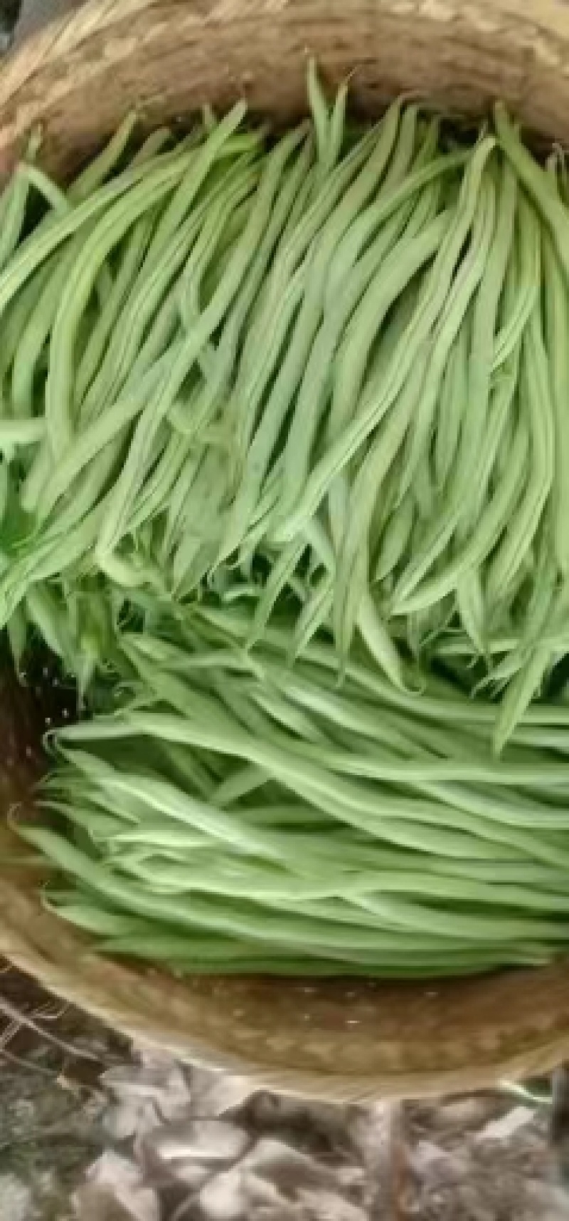 架豆王豆角开始上市，欢迎大家来收购价格可谈