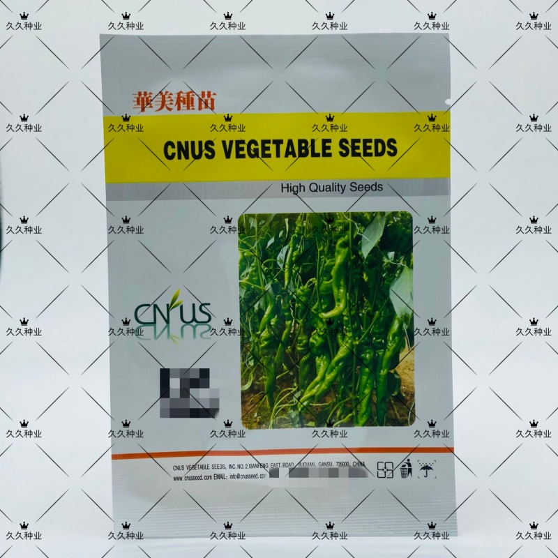 华美105螺丝椒种子早春早熟耐寒香辣高产大田种植
