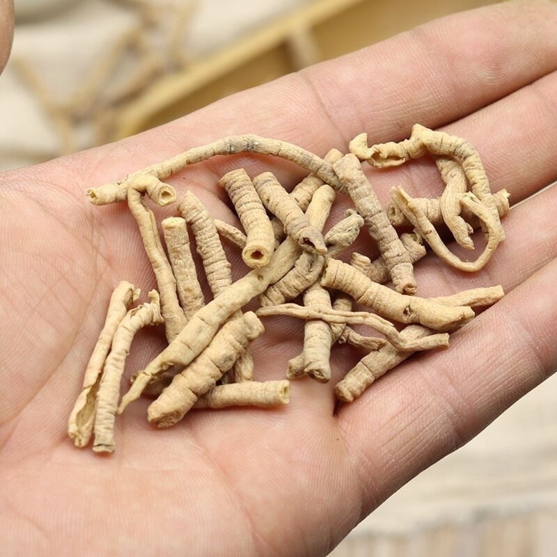 正宗精选远志中药材远志精选高抽芯远志肉远志筒可打粉