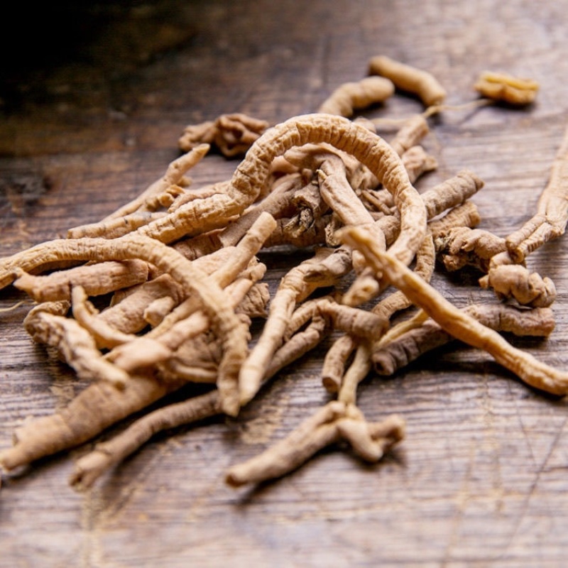 正宗精选远志中药材远志精选高抽芯远志肉远志筒可打粉