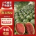 河北保定甜王西瓜，品质保证，价格优惠，实力商家，产地直发