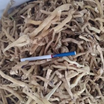 纯无硫玉竹大量现货供应，规格齐全，对接全国客商