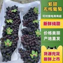 紫甜无核A17葡萄果粉厚口感超甜电商货供应各大超市