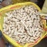 河南鲜花生带壳花生大白沙系列产地一手货源实力代发全国