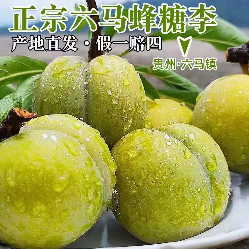 贵州镇宁六马蜂糖李