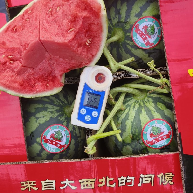 无籽美都西瓜产地一手货，糖度高，红度好，耐运输