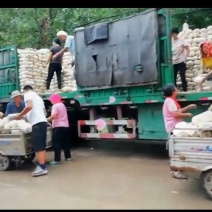 菌棒纯熟料栽培产量高视频看装车基地直供应