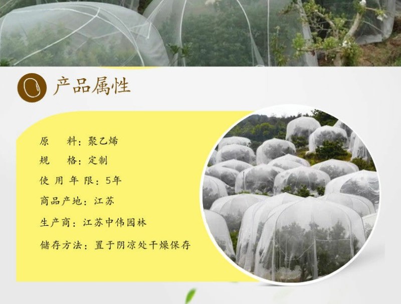 果树防虫防鸟防果蝇防晒纱网罩花卉绿植树苗甜橙