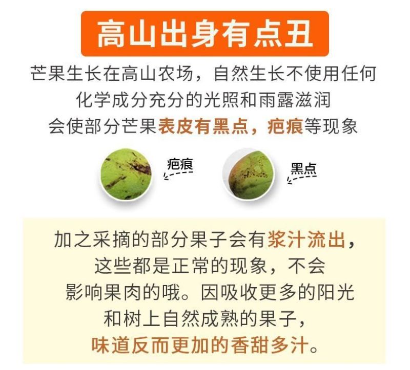 凯特芒果一件代发，包邮包售后，招代理