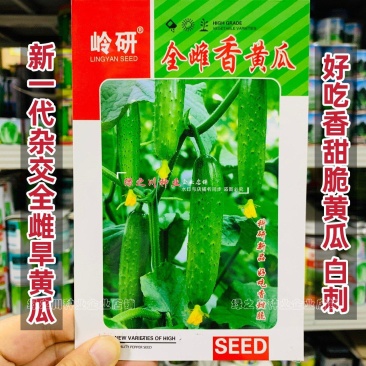 东北旱黄瓜种子好吃香甜脆黄瓜种子全雌香黄瓜种籽春秋瓜种子