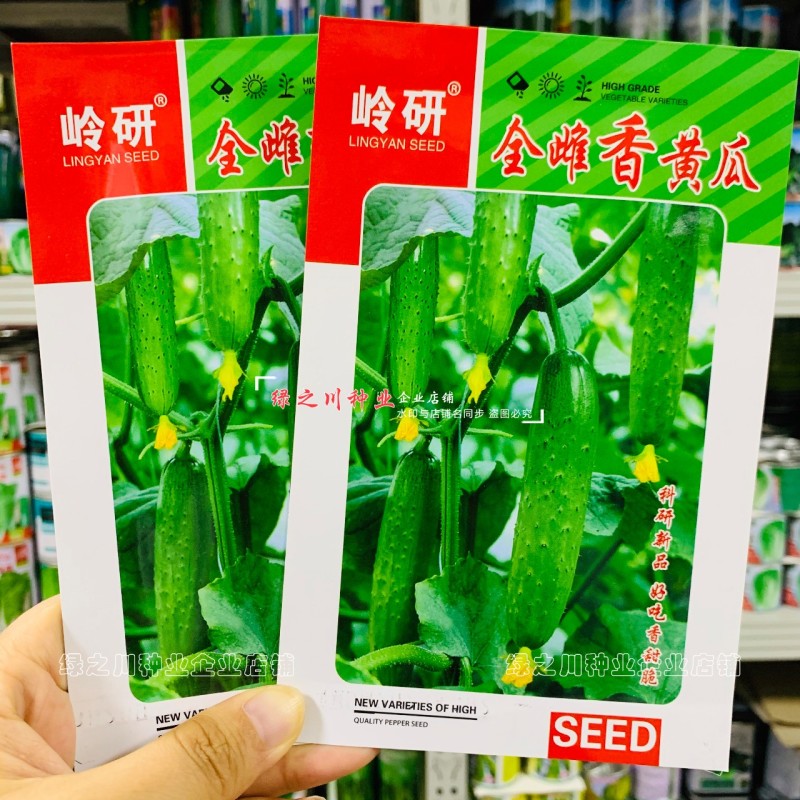 东北旱黄瓜种子好吃香甜脆黄瓜种子全雌香黄瓜种籽春秋瓜种子