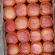 山东沂蒙山红富士苹果，原产地直发口感脆甜，皮薄汁多价格低