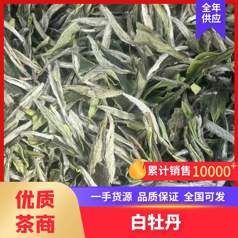 2024老树牡丹新茶优质茶品品味好茶支持一件代发