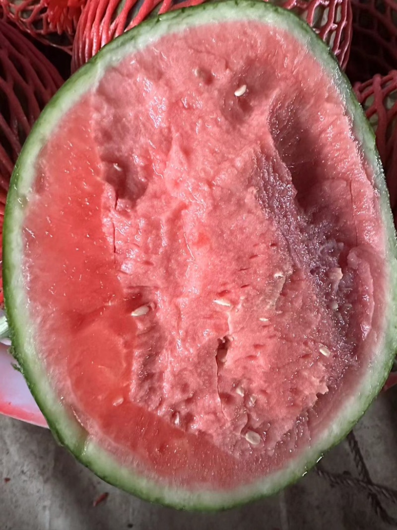 精品美都西瓜/产地直发/一手货源/量大价优/欢迎致电