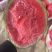 精品美都西瓜/产地直发/一手货源/量大价优/欢迎致电
