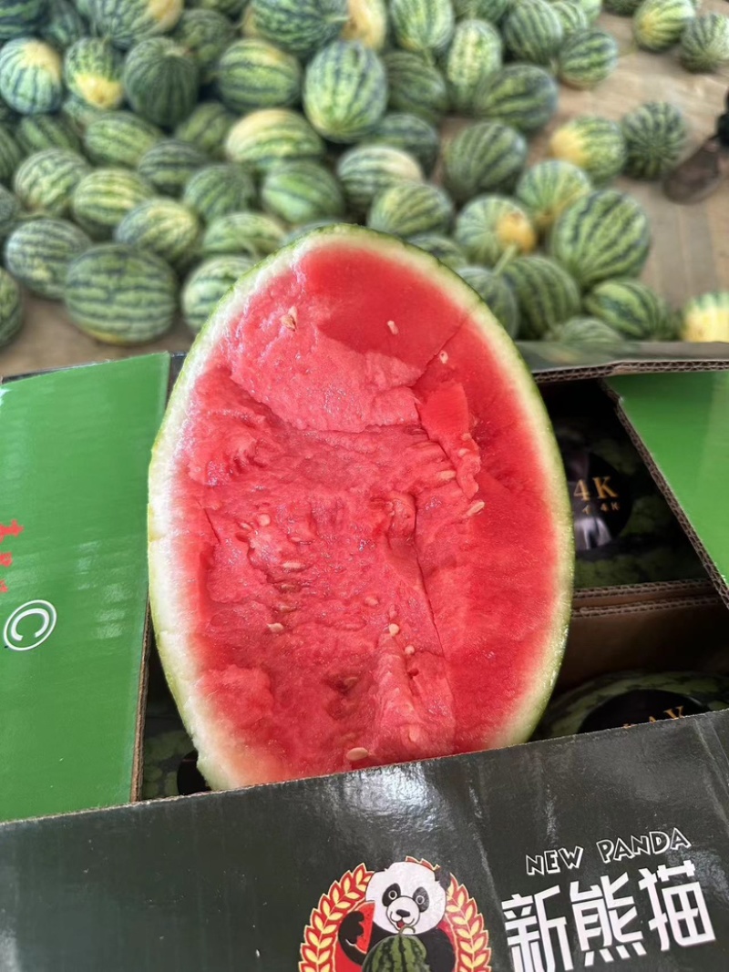 精品美都西瓜/产地直发/一手货源/量大价优/欢迎致电