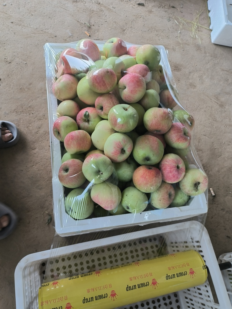 青红苹果