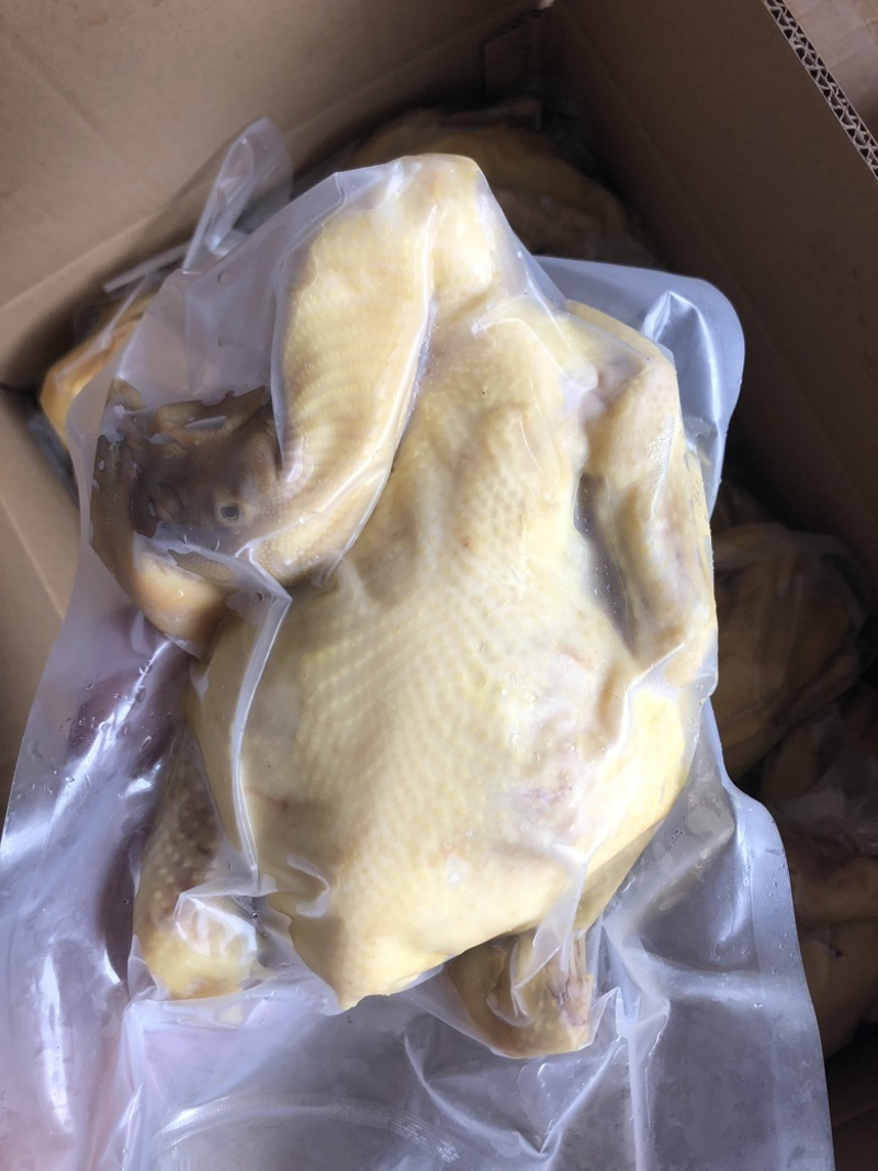 广东捷源白切鸡（散养走地鸡）