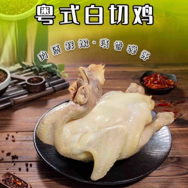 广东捷源白切鸡（散养走地鸡）