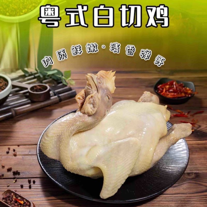 广东捷源白切鸡（散养走地鸡）