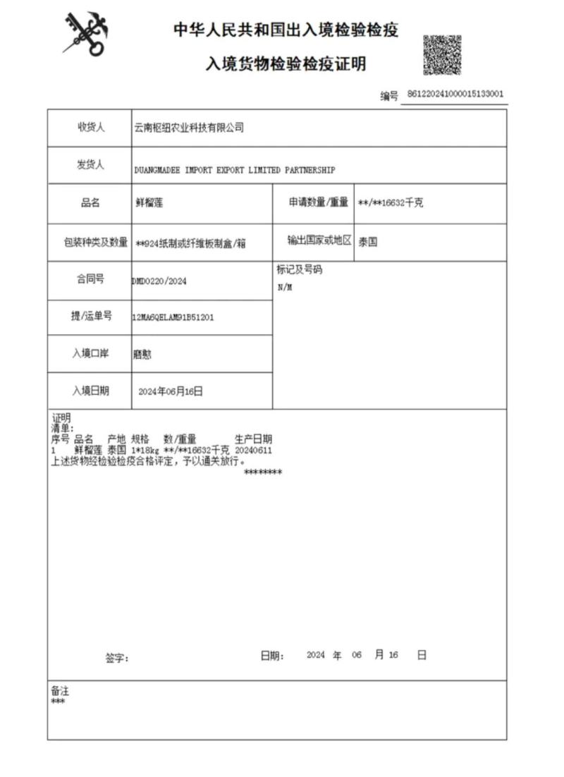 金枕榴莲，A果保5房，一手货源批发