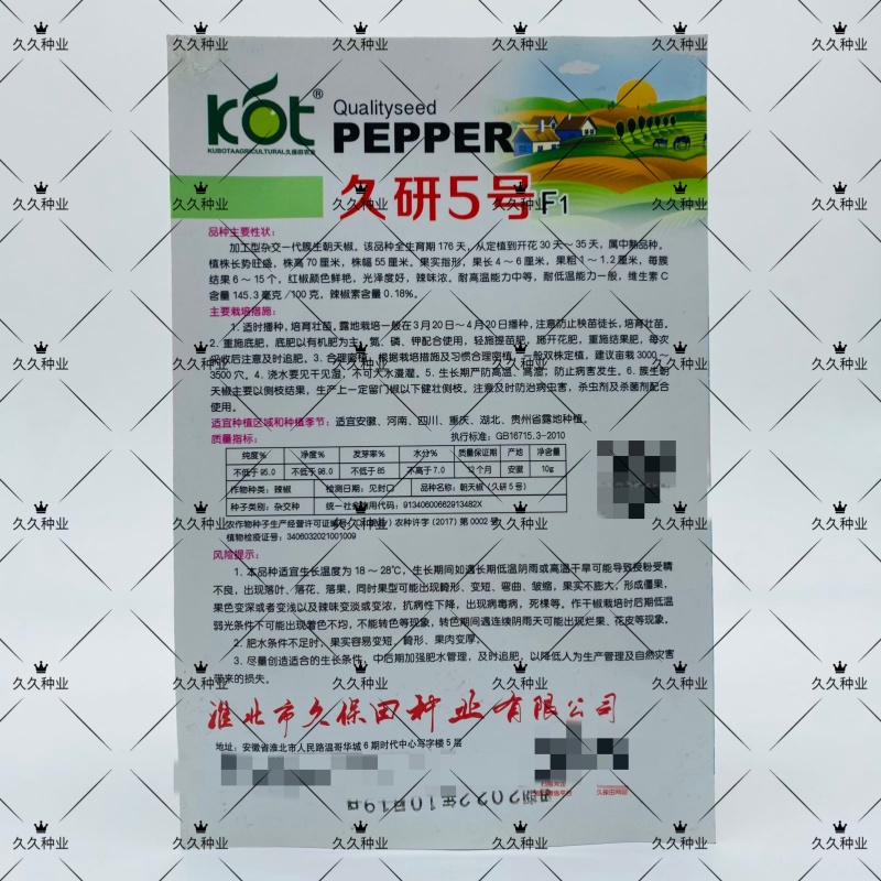 久保田久研5号朝天椒辣椒种子辣味香浓干椒油亮簇生朝天椒