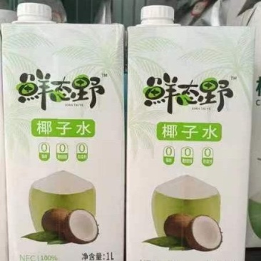 海南椰子水好喝不腻对接全国市场支持一件代发各大市场