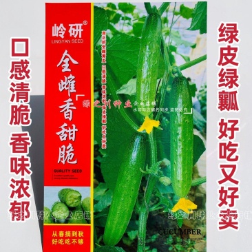 全雌香甜脆水果黄瓜种子强雌水果黄瓜种籽甜脆清香味浓节节瓜