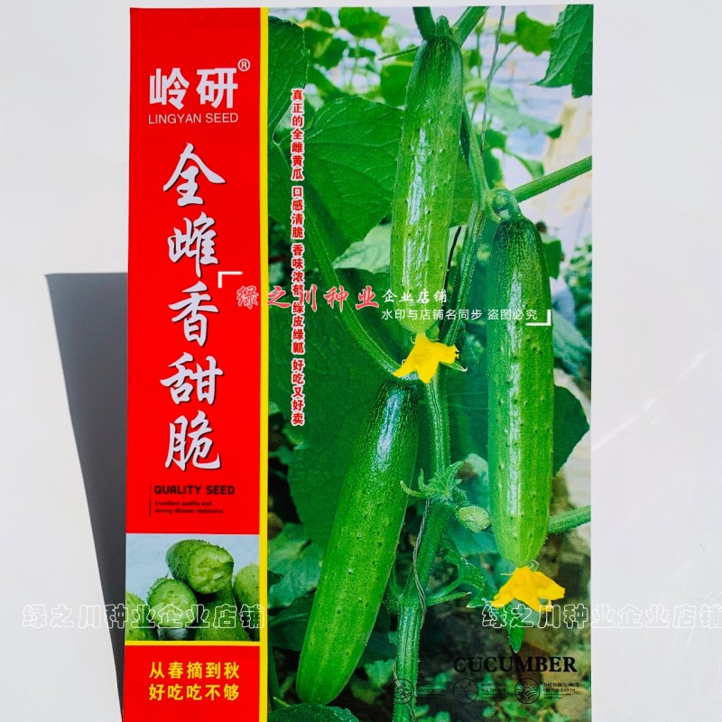 全雌香甜脆水果黄瓜种子强雌水果黄瓜种籽甜脆清香味浓节节瓜