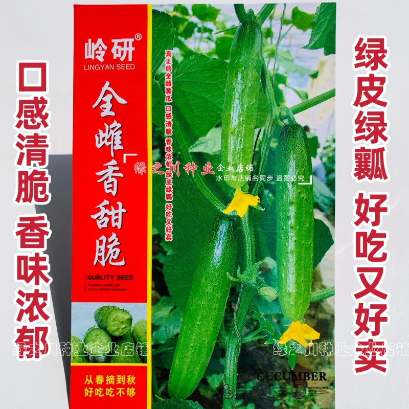 全雌香甜脆水果黄瓜种子强雌水果黄瓜种籽甜脆清香味浓节节瓜