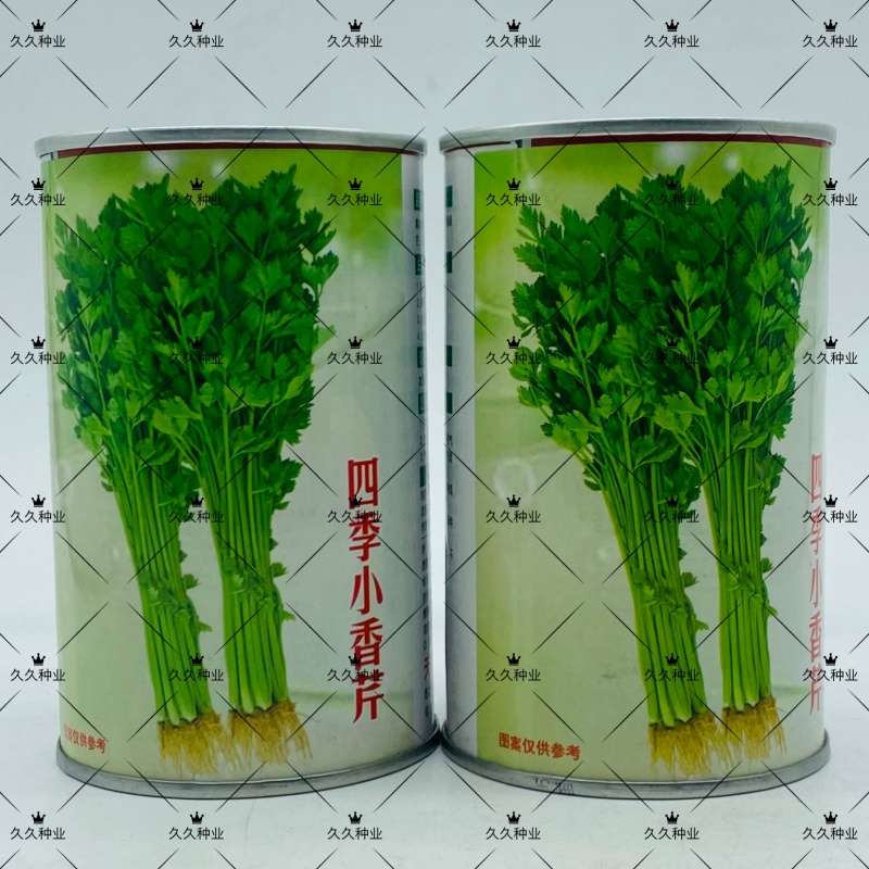 耕耘四季小香芹种子早熟抗病庭院阳台蔬菜种籽香味浓细香芹菜