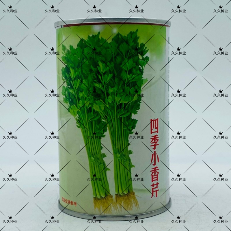 耕耘四季小香芹种子早熟抗病庭院阳台蔬菜种籽香味浓细香芹菜