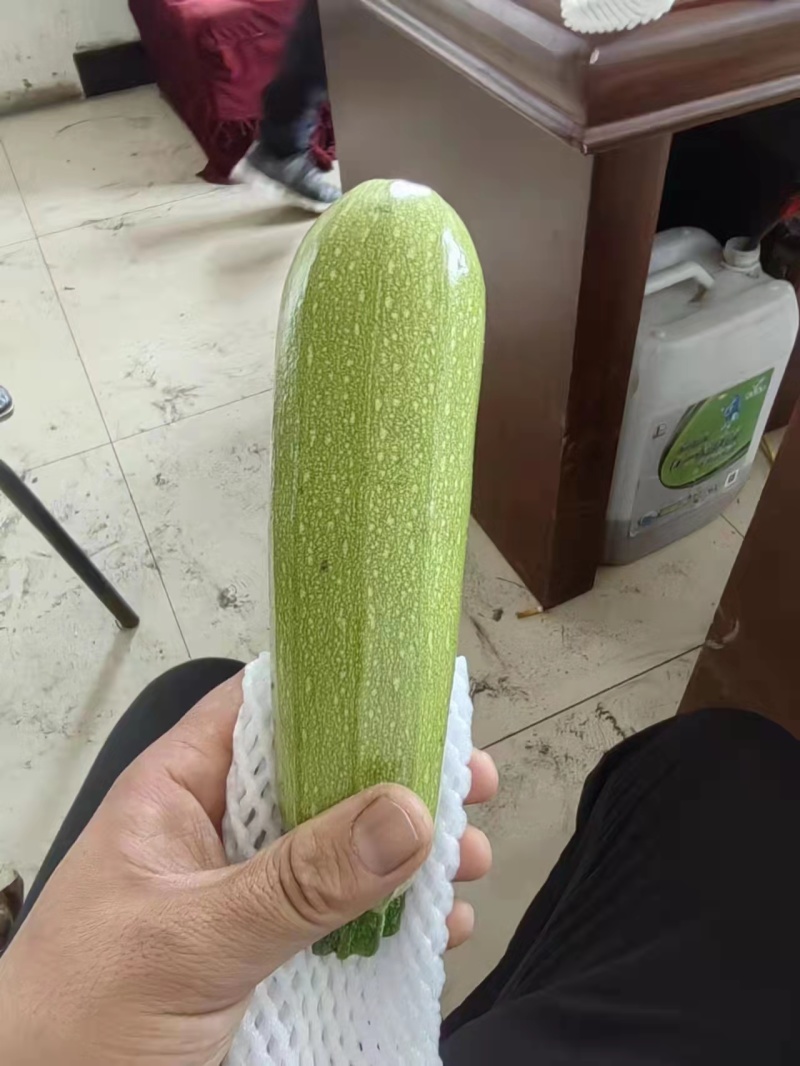 精品西葫芦