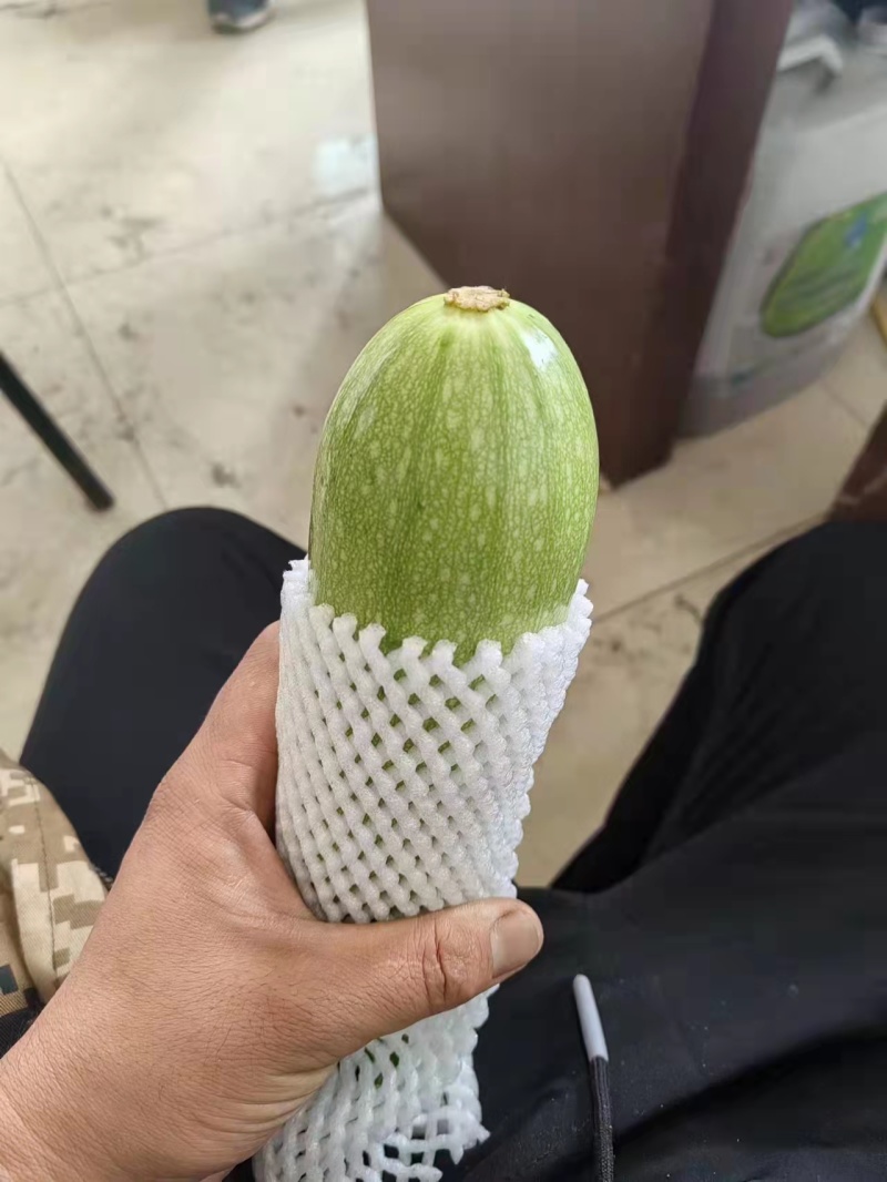 精品西葫芦