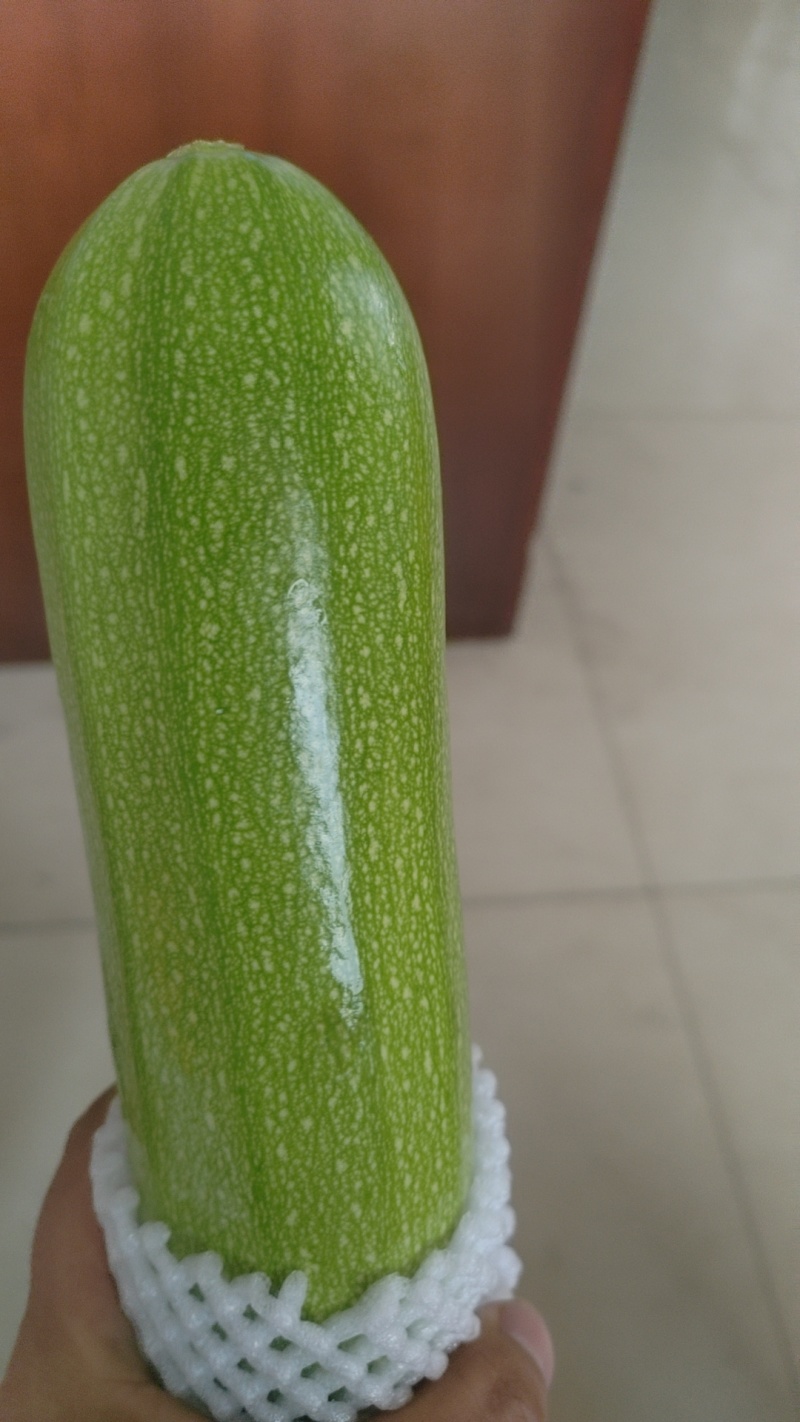 精品西葫芦