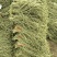 滑县长豆角大量现货有需要的老板下单吧