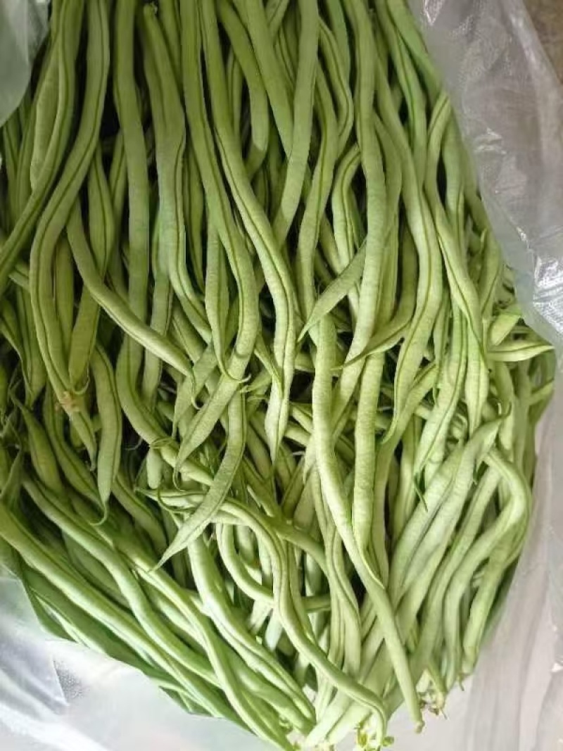 精品豆王