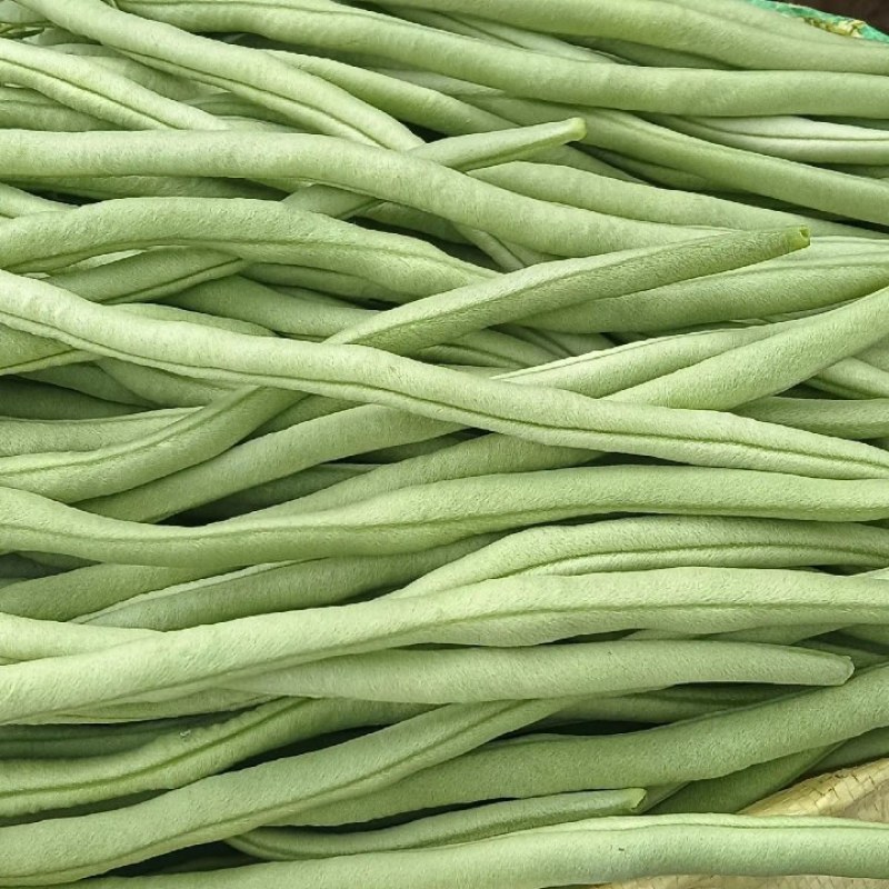 精品豆王