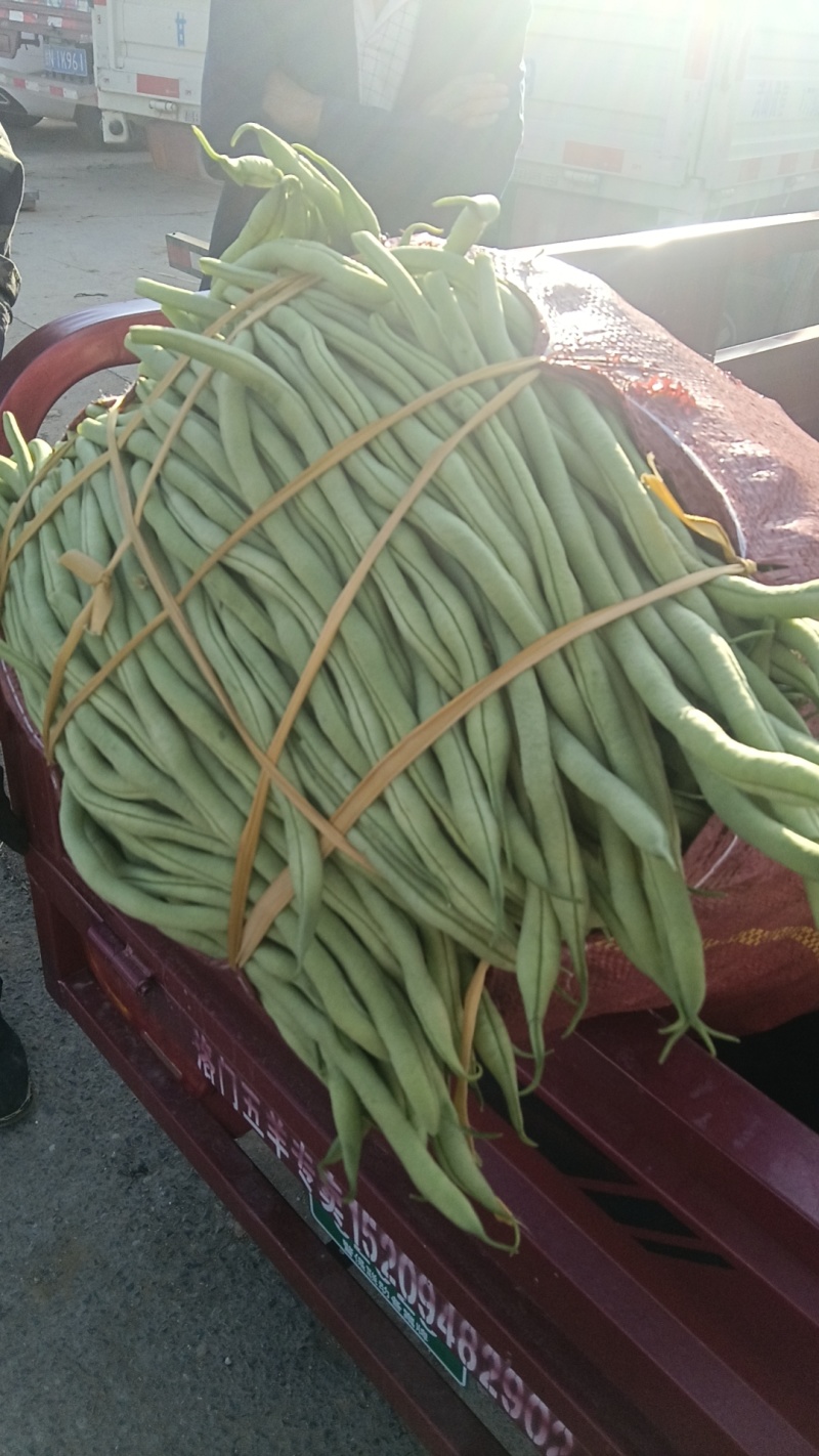 精品豆王