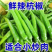 辣椒杭椒新鲜现摘现发产地看货论价保质保量