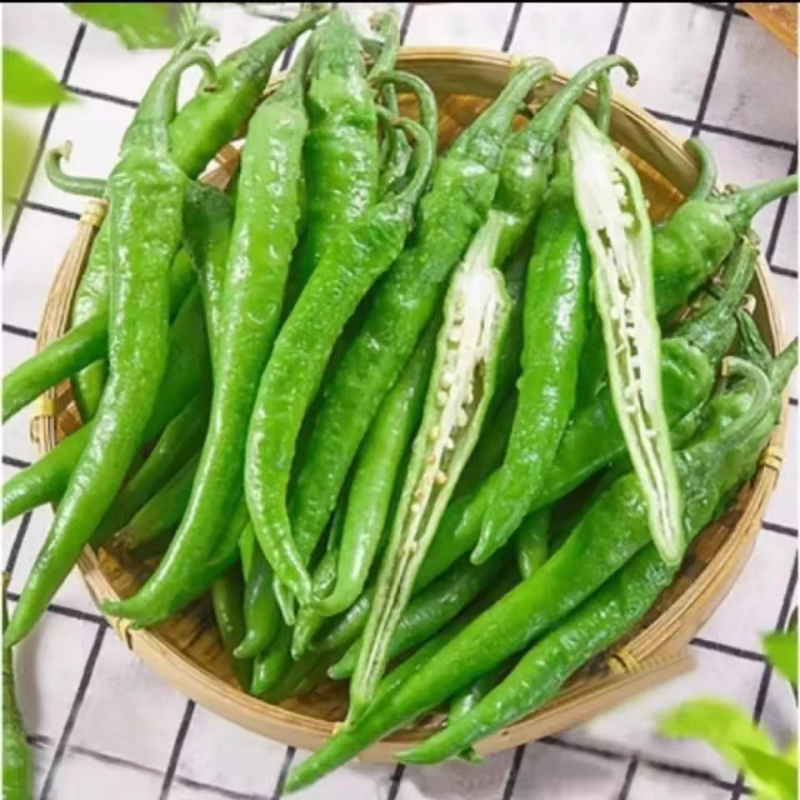 辣椒杭椒新鲜现摘现发产地看货论价保质保量