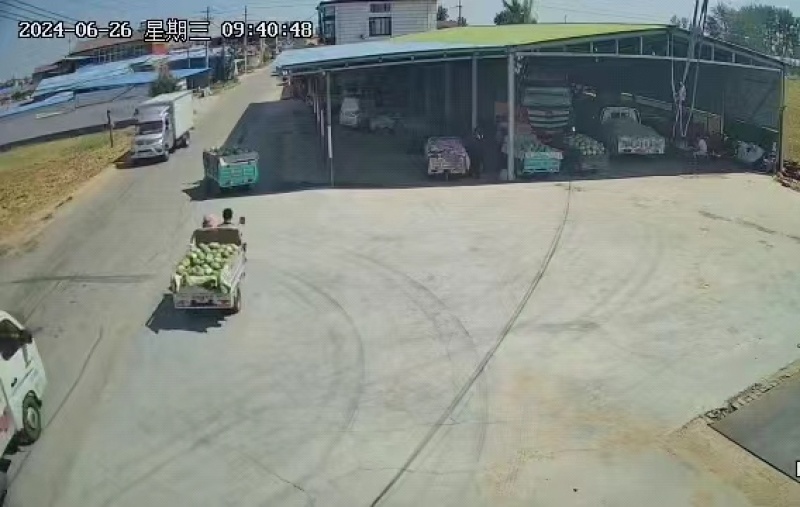 正品保障西瓜随时可聊