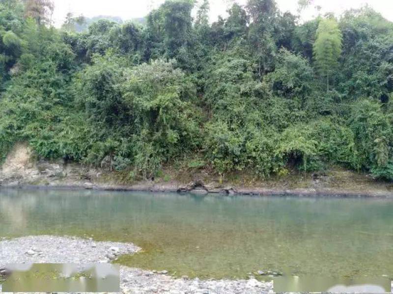 状元县溪石斑泉水养殖基地