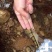状元县溪石斑泉水养殖基地