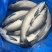 【推荐】江苏精品大青鱼，规格齐全货量充足，可视频看货选购